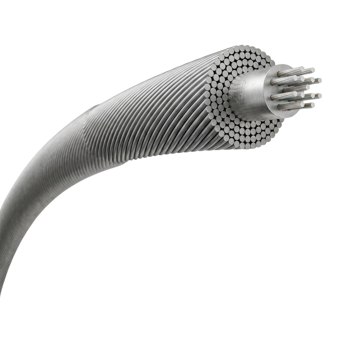 Close-up of a Rexis speed string