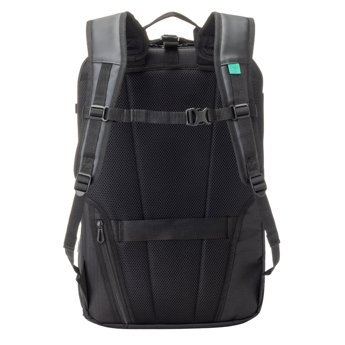 Black backpack with gray straps on a white background